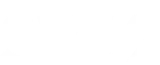 SVT2 HD